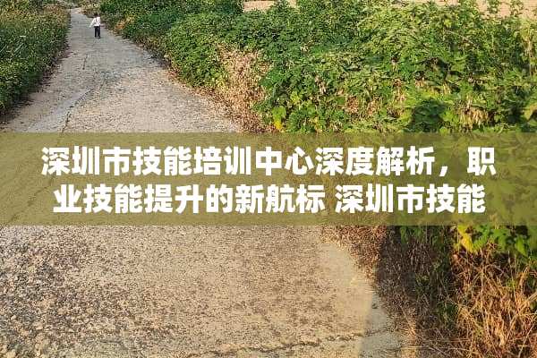 深圳市技能培训中心深度解析，职业技能提升的新航标 深圳市技能培训中心
