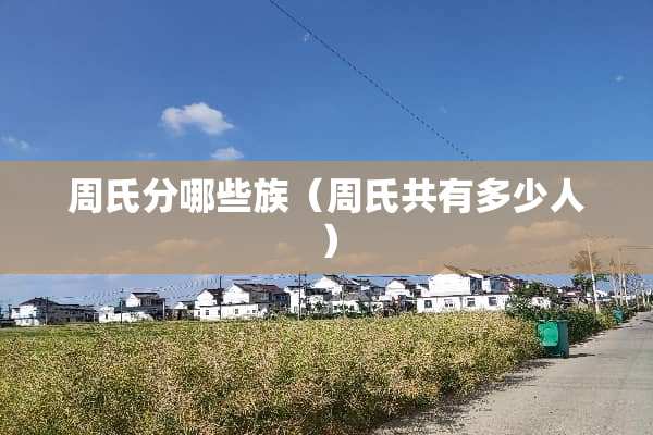 周氏分哪些族(周氏共有多少人) 周氏分哪些族(周氏共有多少人)