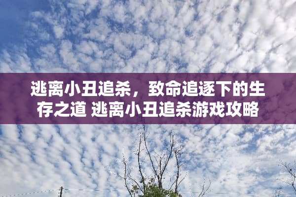 逃离小丑追杀，致命追逐下的生存之道 逃离小丑追杀游戏攻略