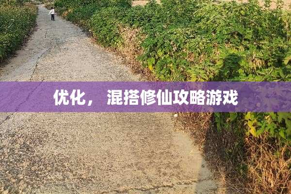 优化， 混搭修仙攻略游戏