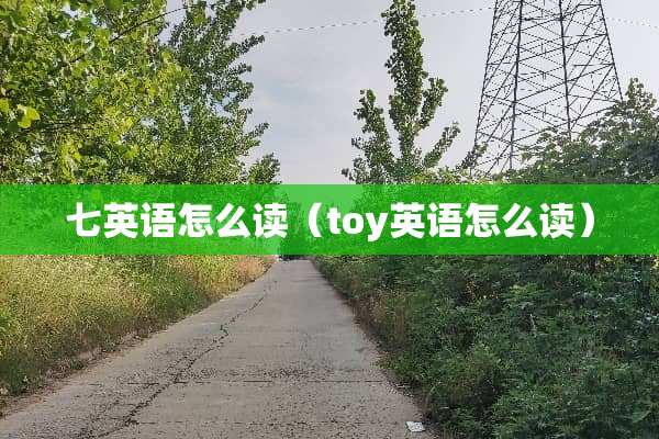 七英语怎么读（toy英语怎么读）