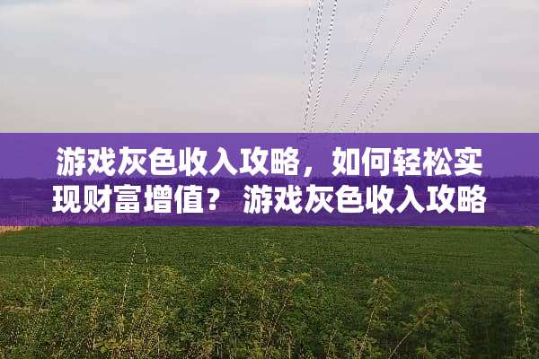 游戏灰色收入攻略,如何轻松实现财富增值? 游戏灰色收入攻略 游戏灰色收入攻略,如何轻松实现财富增值? 游戏灰色收入攻略