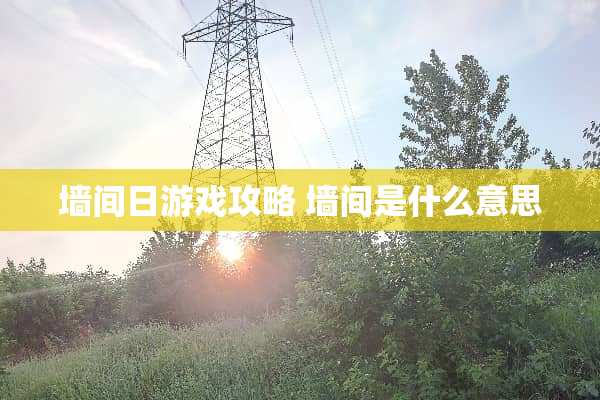 墙间日游戏攻略 墙间是什么意思