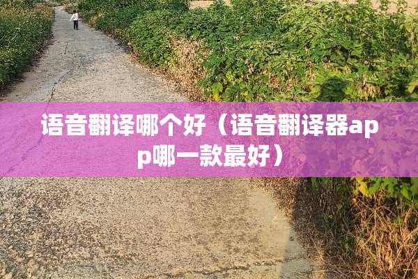 语音翻译哪个好（语音翻译器app哪一款最好）