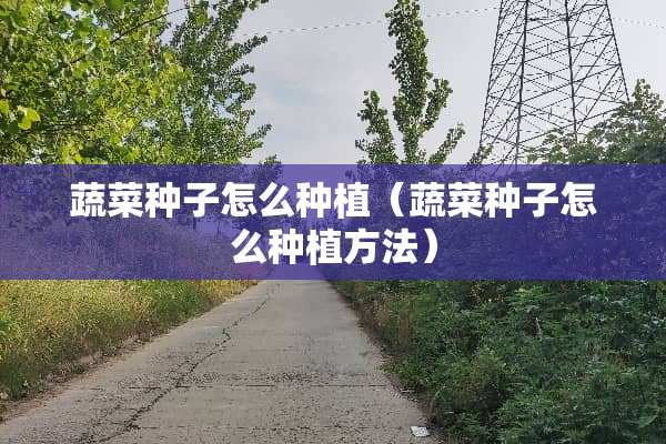 蔬菜种子怎么种植（蔬菜种子怎么种植方法）