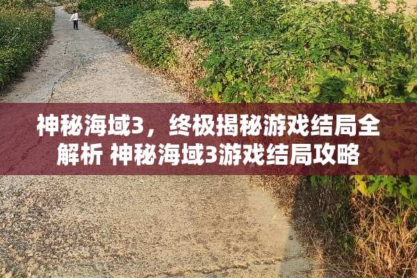 神秘海域3，终极揭秘游戏结局全解析 神秘海域3游戏结局攻略