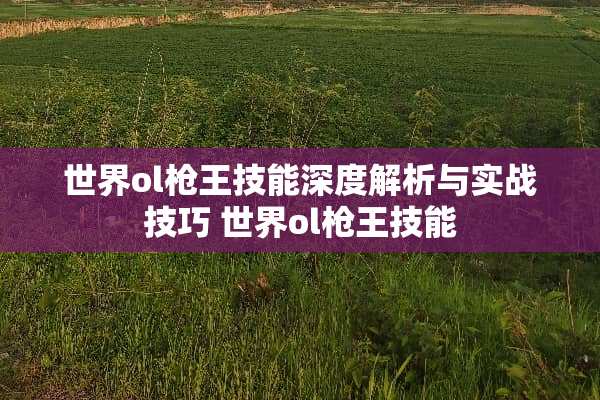 世界ol枪王技能深度解析与实战技巧 世界ol枪王技能