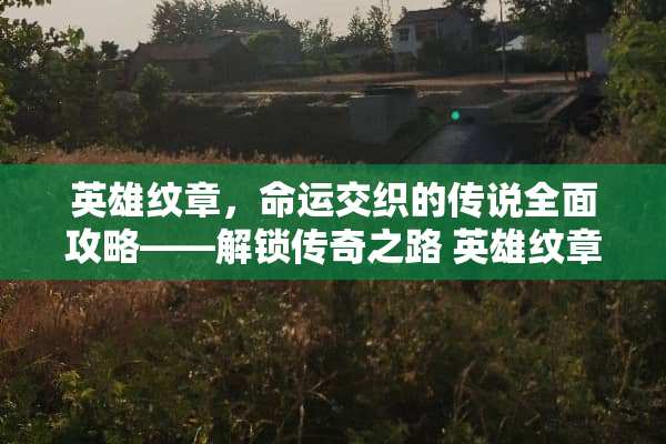 英雄纹章，命运交织的传说全面攻略——解锁传奇之路 英雄纹章攻略