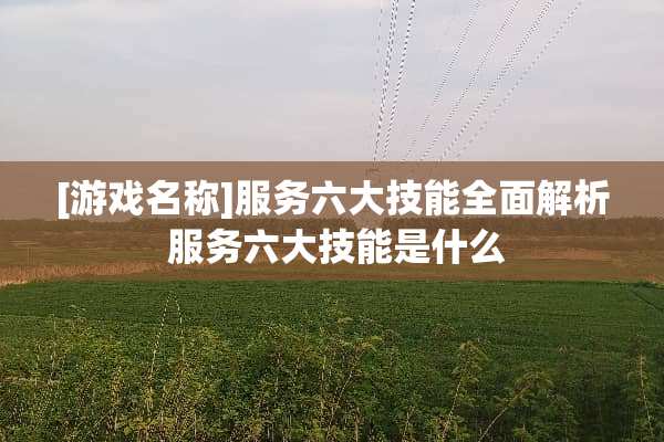 [游戏名称]服务六大技能全面解析 服务六大技能是什么