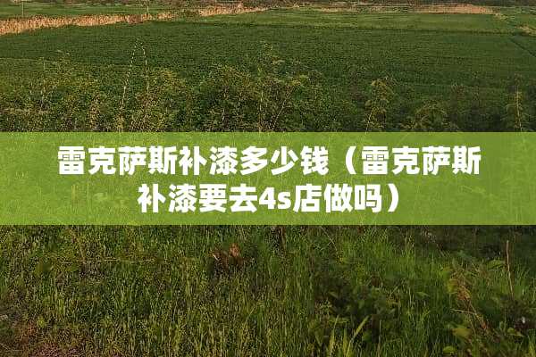 雷克萨斯补漆多少钱（雷克萨斯补漆要去4s店做吗）