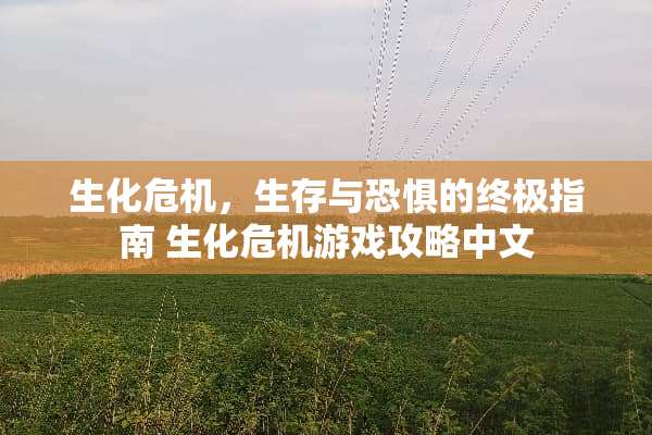 生化危机，生存与恐惧的终极指南 生化危机游戏攻略中文