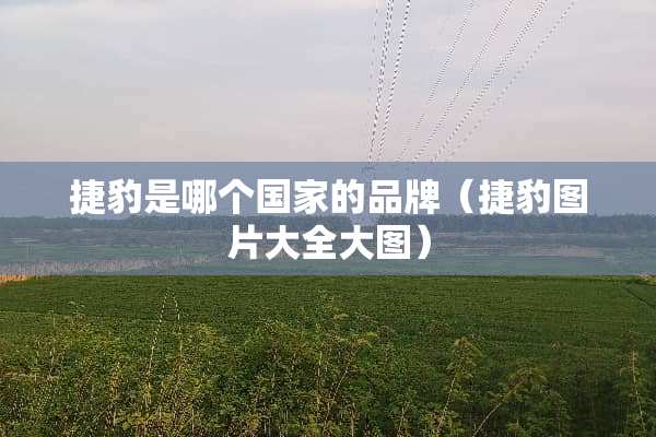 捷豹是哪个国家的品牌（捷豹图片大全大图）