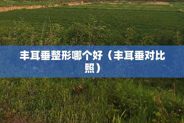 丰耳垂整形哪个好（丰耳垂对比照）