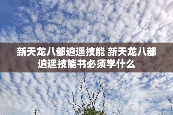 新天龙八部逍遥技能 新天龙八部逍遥技能书必须学什么 新天龙八部逍遥技能 新天龙八部逍遥技能书必须学什么