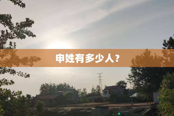 申姓有多少人？