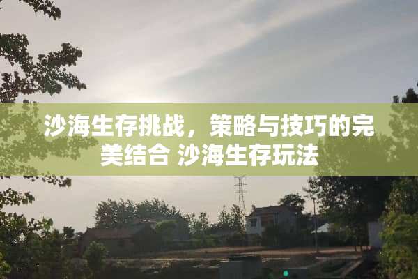 沙海生存挑战，策略与技巧的完美结合 沙海生存玩法