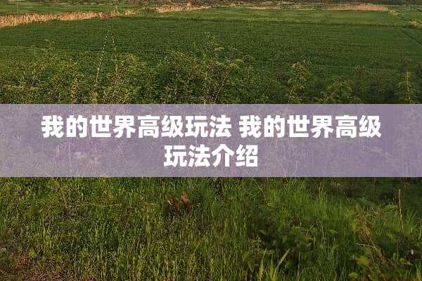 我的世界高级玩法 我的世界高级玩法介绍 我的世界高级玩法 我的世界高级玩法介绍