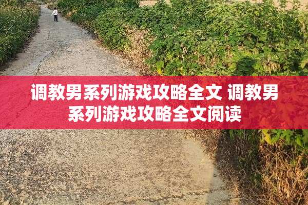 **男系列游戏攻略全文**男系列游戏攻略全文阅读