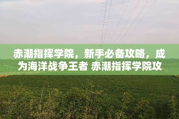 赤潮指挥学院，新手必备攻略，成为海洋战争王者 赤潮指挥学院攻略
