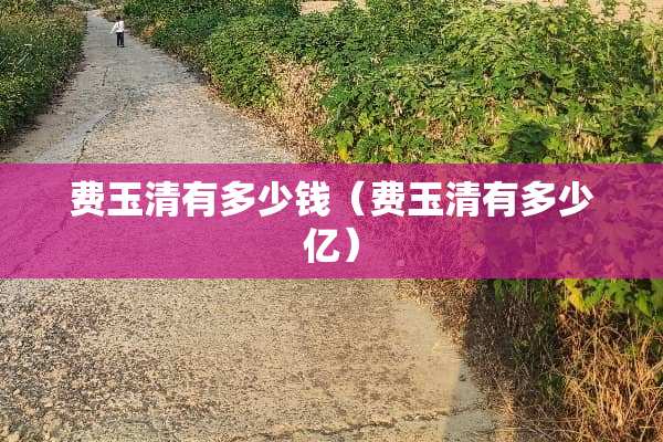 费玉清有多少钱（费玉清有多少亿）