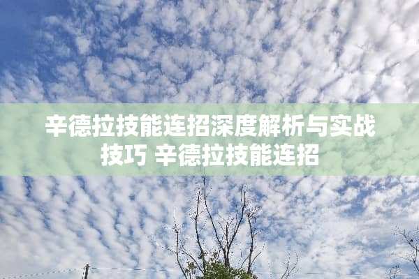 辛德拉技能连招深度解析与实战技巧 辛德拉技能连招