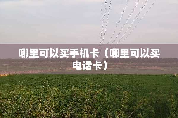 哪里可以买手机卡（哪里可以买电话卡）