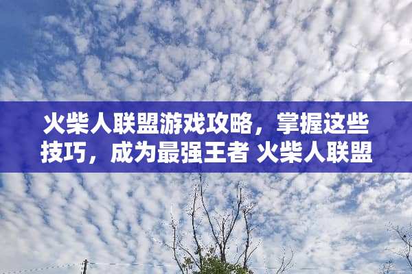 火柴人联盟游戏攻略，掌握这些技巧，成为最强王者 火柴人联盟游戏攻略