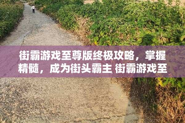 街霸游戏至尊版终极攻略，掌握精髓，成为街头霸主 街霸游戏至尊版攻略