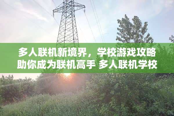多人联机新境界,学校游戏攻略助你成为联机高手 多人联机学校游戏攻略 多人联机新境界,学校游戏攻略助你成为联机高手 多人联机学校游戏攻略