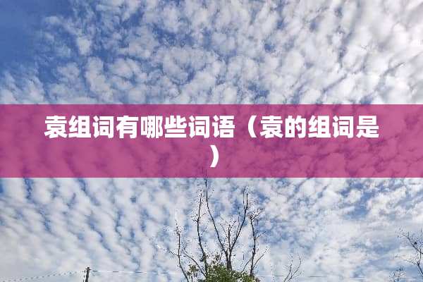 袁组词有哪些词语（袁的组词是）
