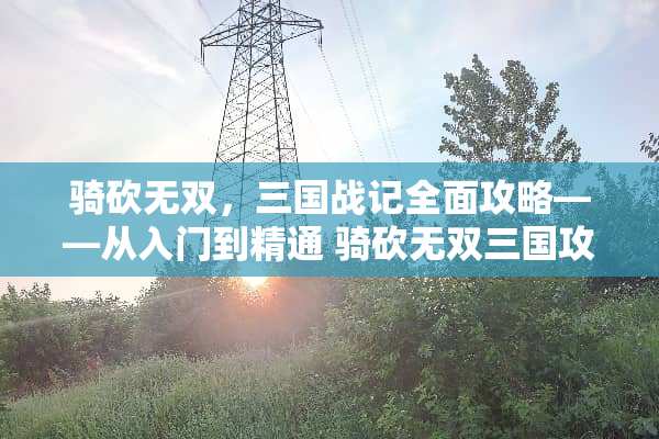 骑砍无双,三国战记全面攻略——从入门到精通 骑砍无双三国攻略 骑砍无双,三国战记全面攻略——从入门到精通 骑砍无双三国攻略