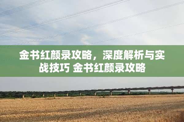 金书红颜录攻略，深度解析与实战技巧 金书红颜录攻略