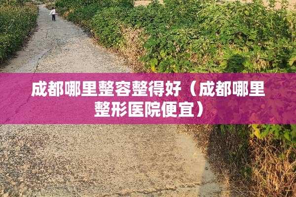 成都哪里整容整得好（成都哪里整形医院便宜）