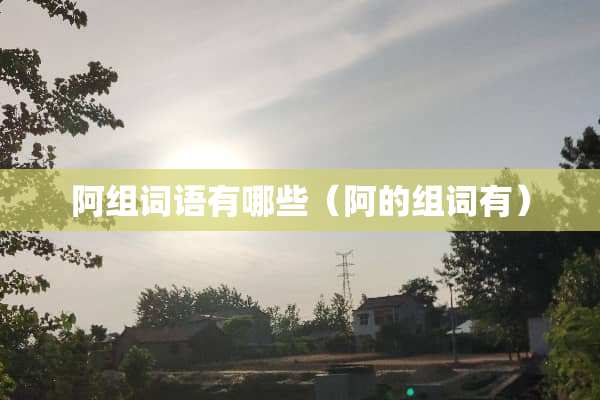 阿组词语有哪些（阿的组词有）