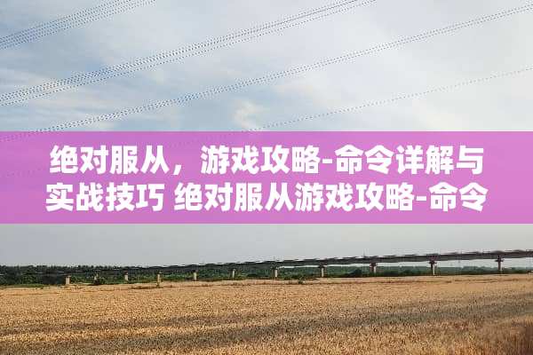 绝对服从,游戏攻略-命令详解与实战技巧 绝对服从游戏攻略-命令 绝对服从,游戏攻略-命令详解与实战技巧 绝对服从游戏攻略-命令