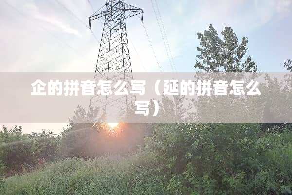 企的拼音怎么写（延的拼音怎么写）