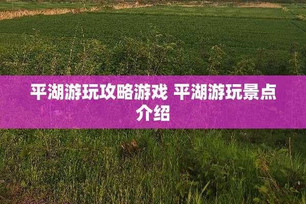 平湖游玩攻略游戏 平湖游玩景点介绍