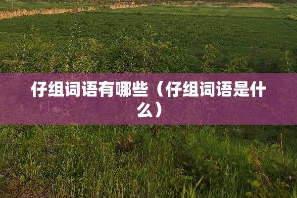 仔组词语有哪些（仔组词语是什么）