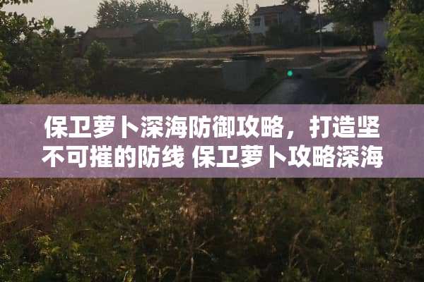 保卫萝卜深海防御攻略，打造坚不可摧的防线 保卫萝卜攻略深海