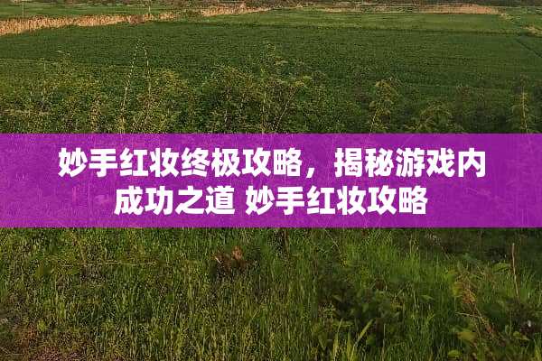 妙手红妆终极攻略，揭秘游戏内成功之道 妙手红妆攻略