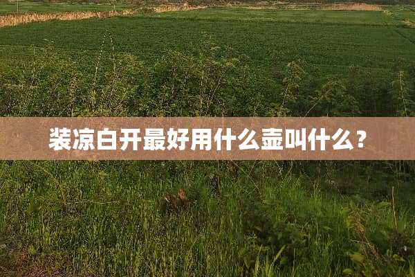装凉白开最好用什么壶叫什么？