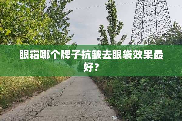 眼霜哪个牌子抗皱去眼袋效果最好？
