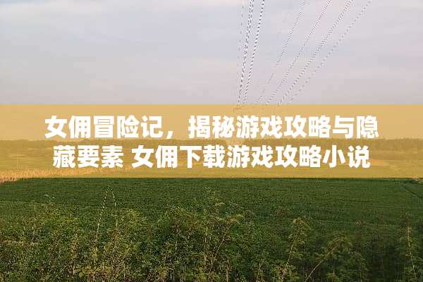 女佣冒险记,揭秘游戏攻略与隐藏要素 女佣下载游戏攻略小说 女佣冒险记,揭秘游戏攻略与隐藏要素 女佣下载游戏攻略小说