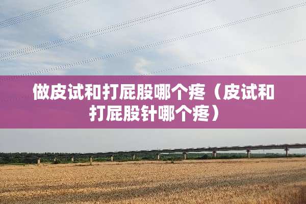 做皮试和打**哪个疼（皮试和打**针哪个疼）