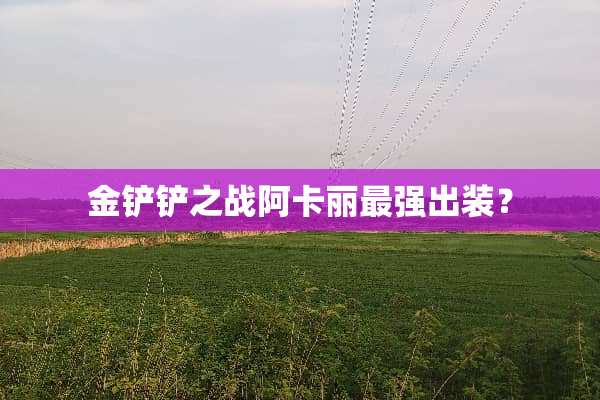 金铲铲之战阿卡丽最强出装？