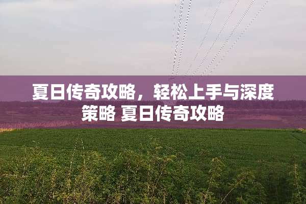 夏日传奇攻略，轻松上手与深度策略 夏日传奇攻略