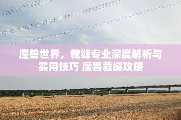 魔兽世界,裁缝专业深度解析与实用技巧 魔兽裁缝攻略 魔兽世界,裁缝专业深度解析与实用技巧 魔兽裁缝攻略