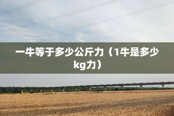 一牛等于多少公斤力（1牛是多少kg力）