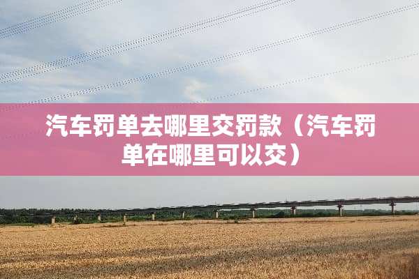 汽车罚单去哪里交罚款（汽车罚单在哪里可以交）