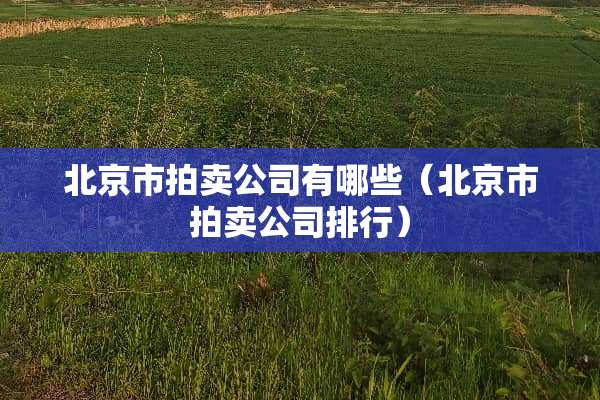 北京市拍卖公司有哪些(北京市拍卖公司排行) 北京市拍卖公司有哪些(北京市拍卖公司排行)